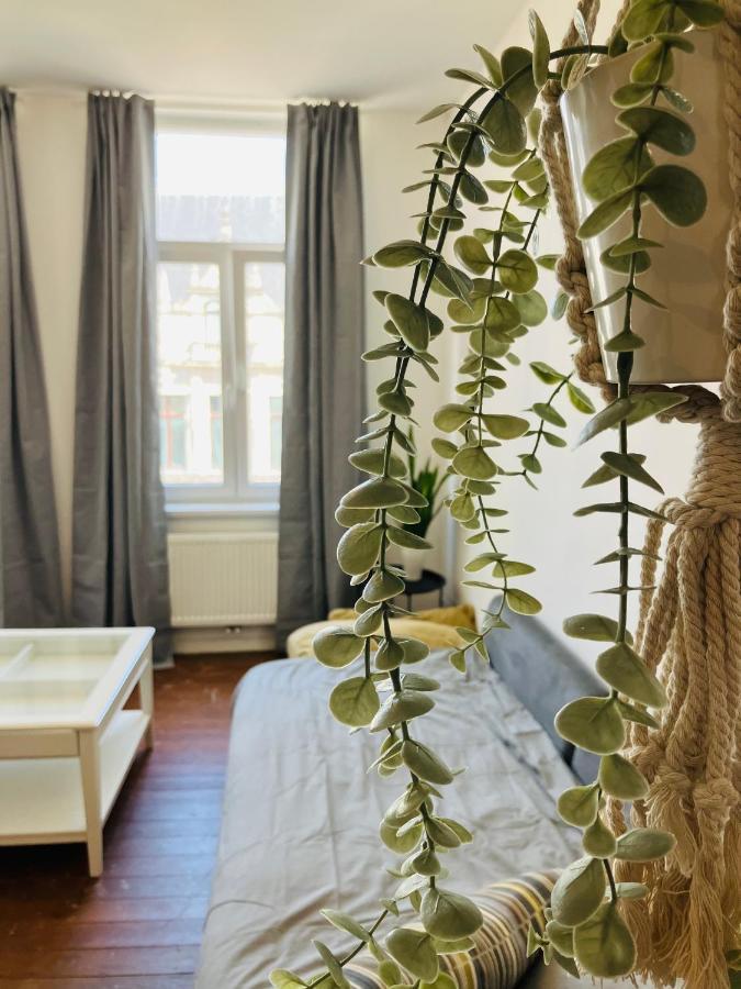 Bnb Hotel Suikernest แอนต์เวิร์ป ภายนอก รูปภาพ